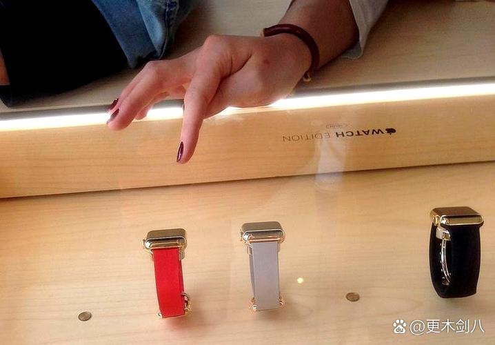 苹果手表的寿命图标