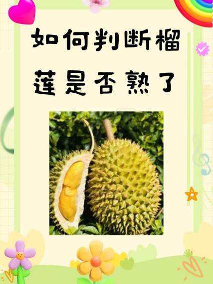 怎么样知道榴莲熟没熟