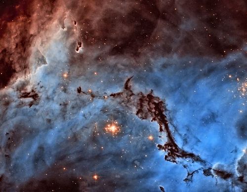 小星云在宇宙还能抓吗