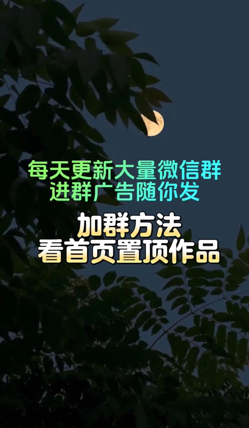 同城广告群