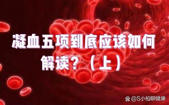 血凝TT>100怎么处理