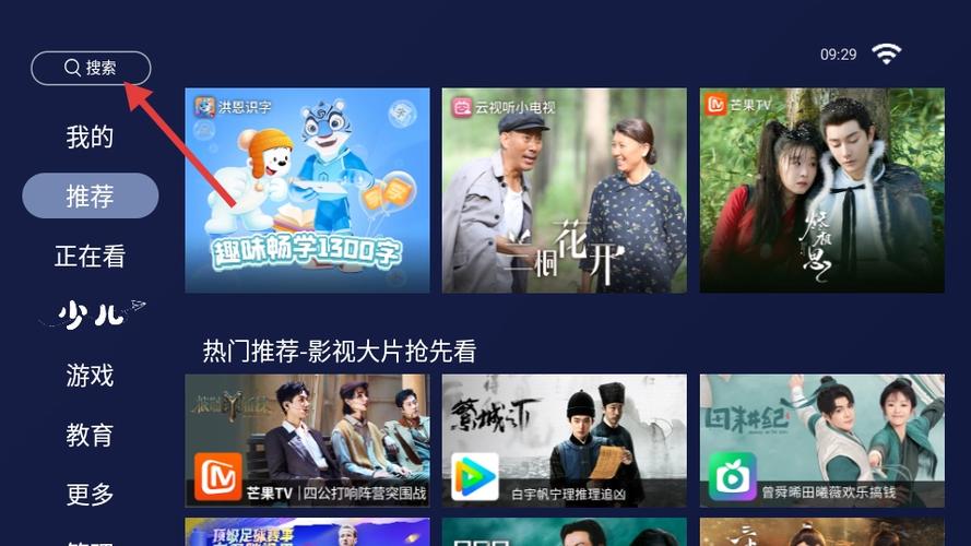 欢视助手TV版截图