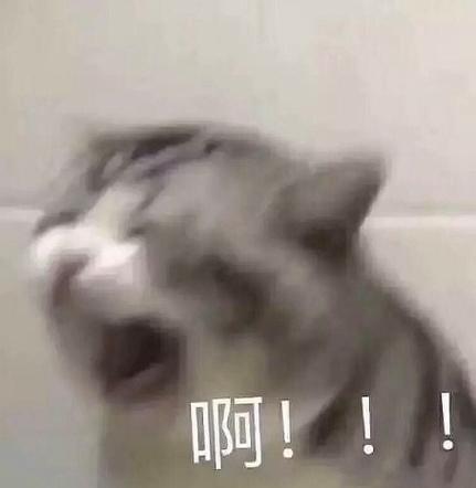 大声喊的表情包