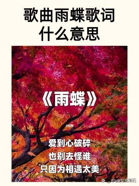 雨蝶这首歌想表达的意思