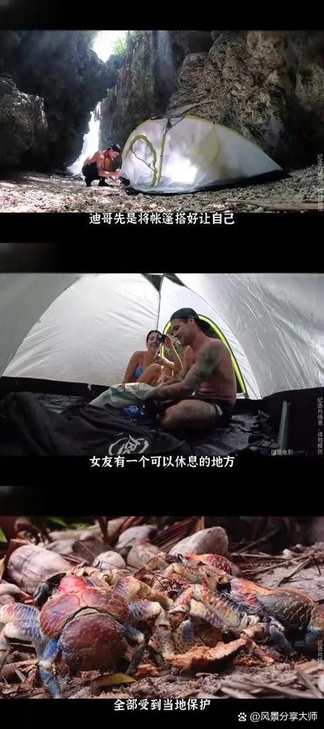荒岛求生无删减版