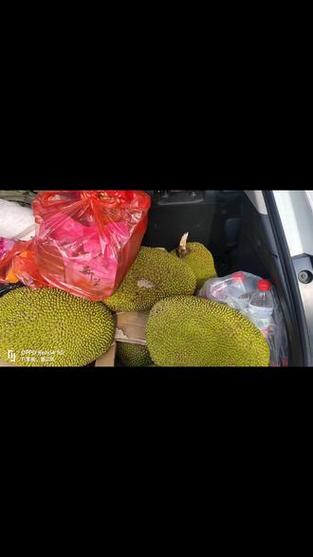 为什么菠萝蜜不免高速