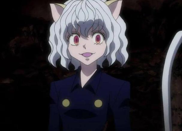 全职猎人猫女结局
