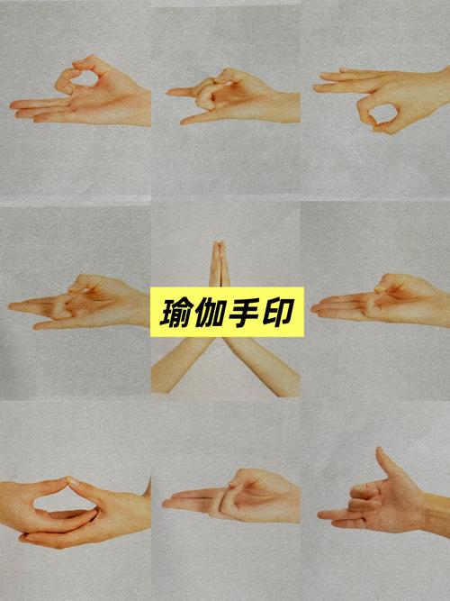 全能手势下载