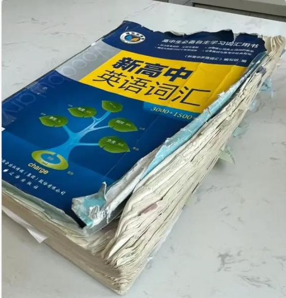 维克多词汇书电子版免费