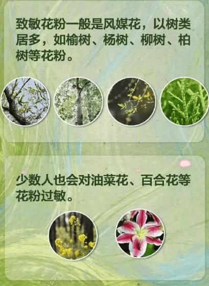 花团锦簇在春天是数字几