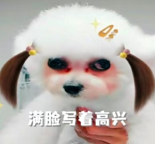 怎么把视频做成表情包