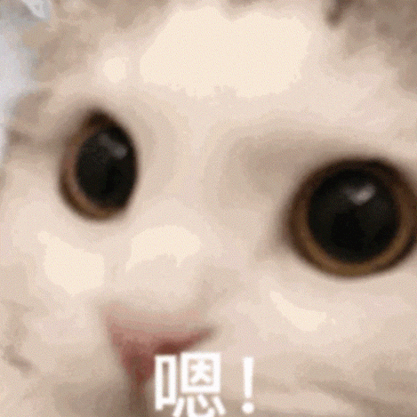 猫点头表情包动图缩略图