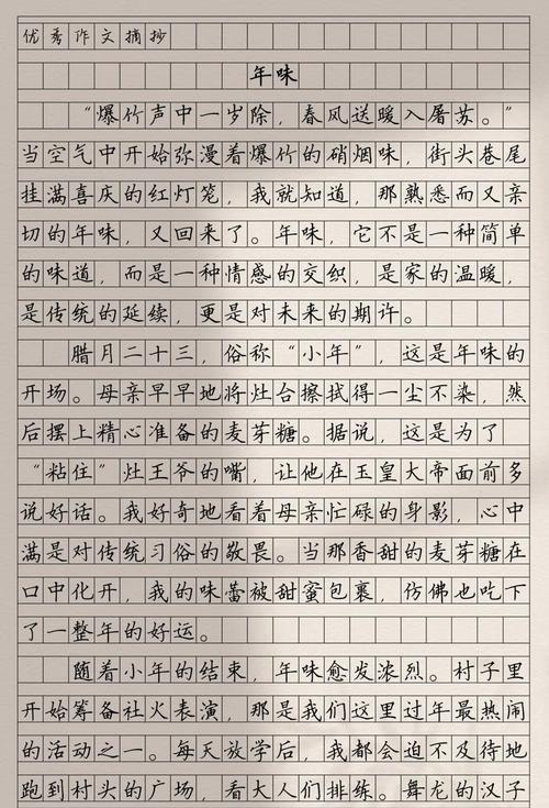 不一样的年味观后感