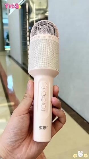 话筒音响一体麦克风