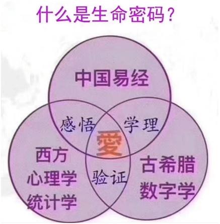 生命密码3号人的性格