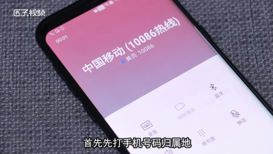 手机开了数据却没网络