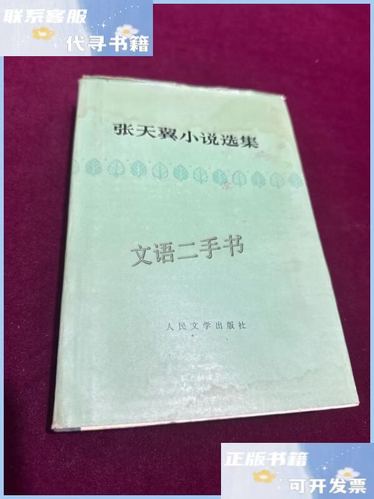 天翼小说中文图标