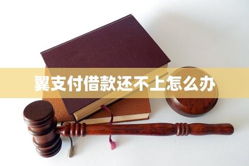 翼支付有额度借不了游戏截图