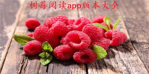 树莓阅读图标
