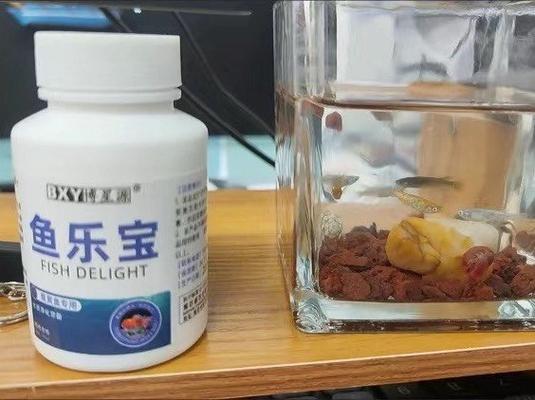 鱼缸里定期放什么药