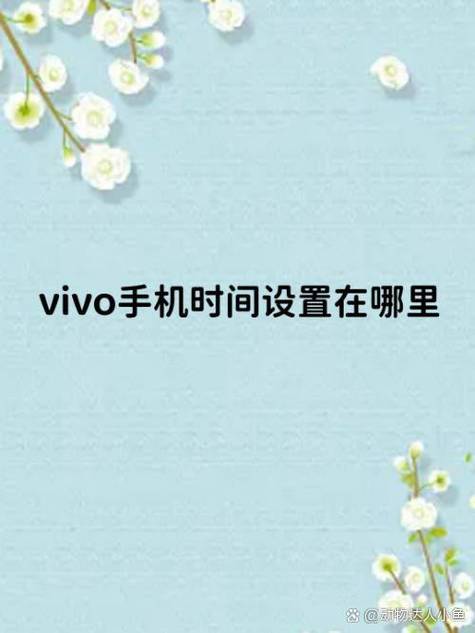 vivo调时间