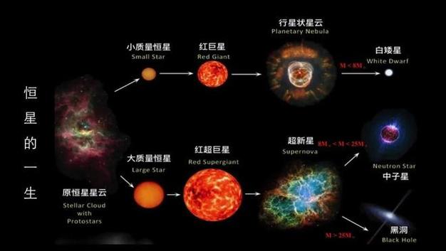 宇宙十大恒星排名截图