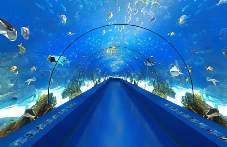 奇妙海洋馆缩略图