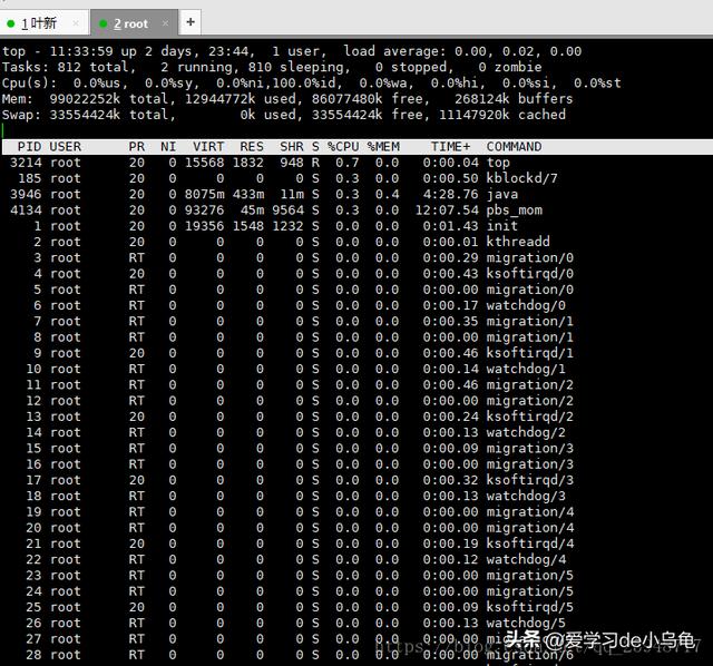 linux查看进程并杀掉
