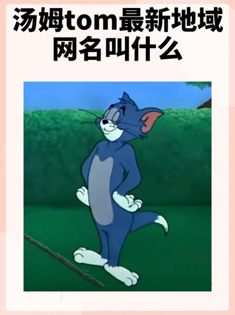 猫和老鼠最惊艳的网名