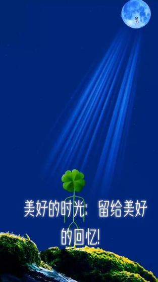 每一张照片都是一份美好的回忆