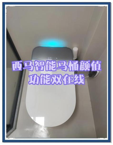西马马桶故障100例