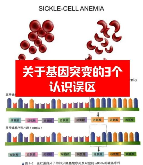 基因为什么会突变