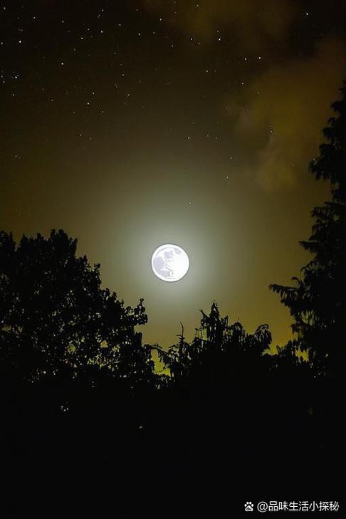 手机夜晚怎么拍照清晰图标