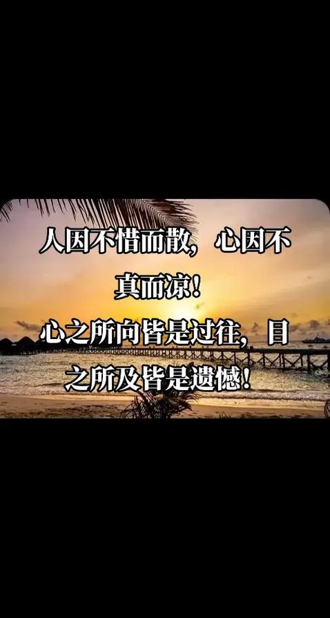 人不惜而散,心不真而凉,心之所向皆是