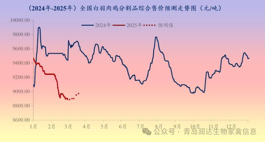 河南肉鸡毛鸡价格图标