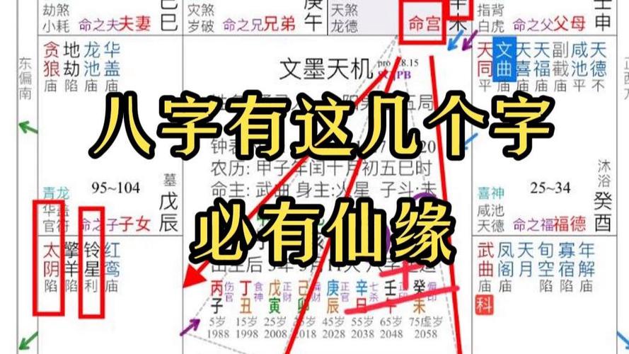 有仙缘的人元神指的是