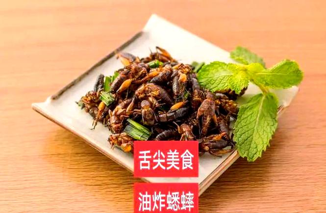 蛐蛐别人是啥意思