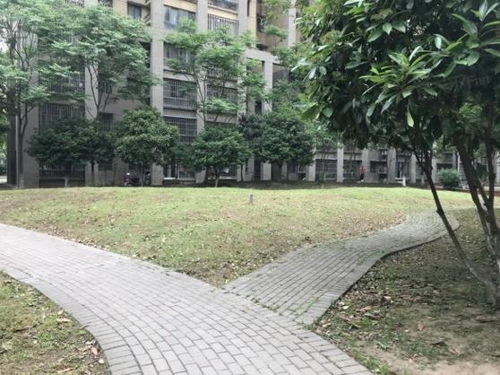 深圳市龙岗区平湖金穗花园缩略图