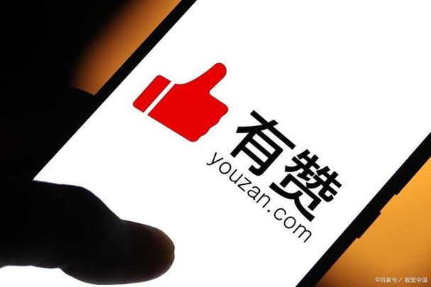 有赞是什么平台