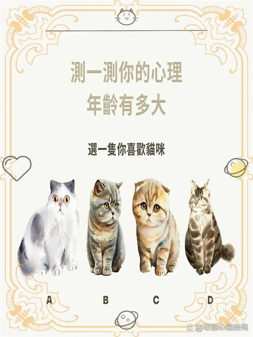 测心理年龄