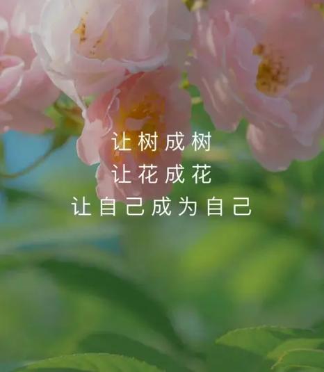 把树还给树让花成为花