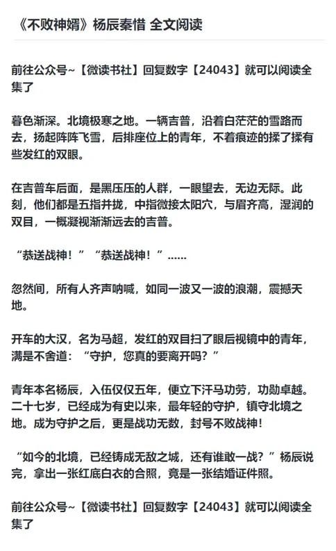 神婿第五十二章