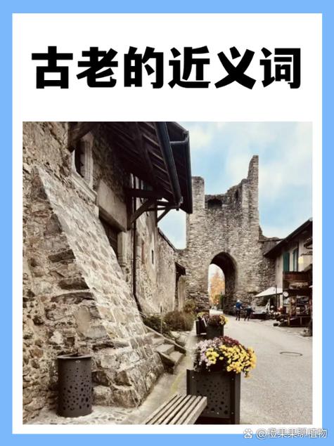 文化的近义词
