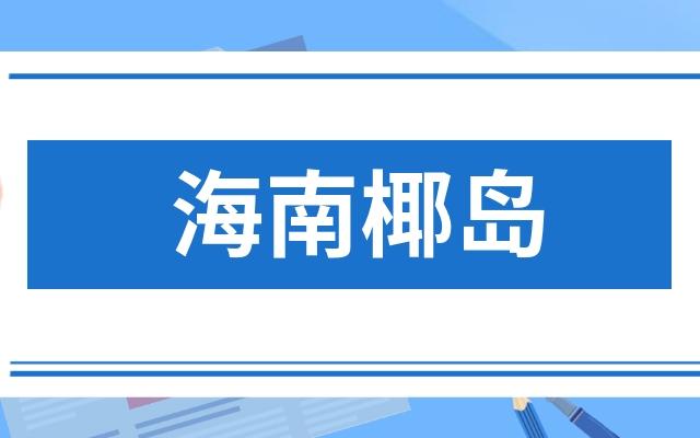 椰岛网络