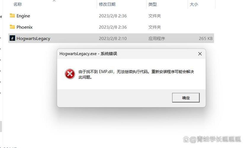 荒野大镖客2游戏启动错误