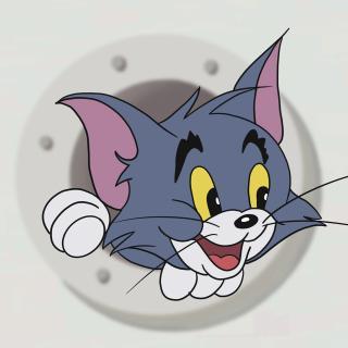 汤姆猫卡通图片缩略图