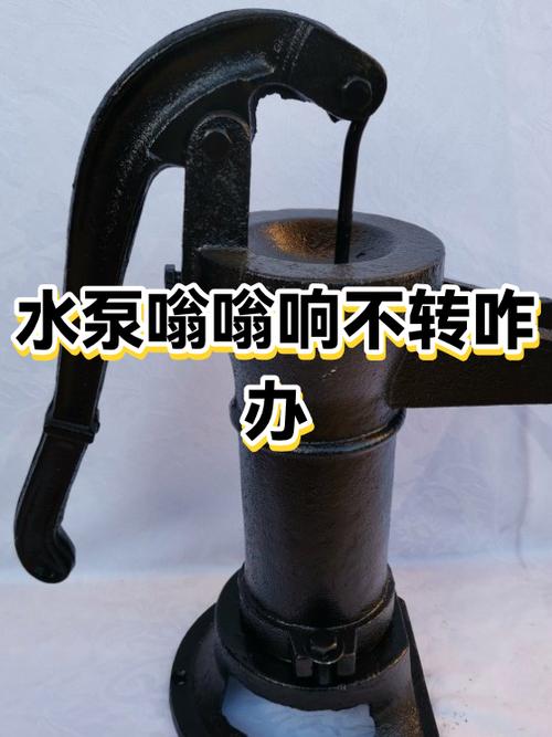 家里水泵嗡嗡抽不出水