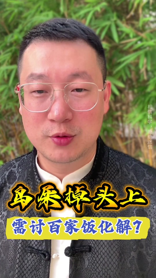 鸟粪落在头上什么意思