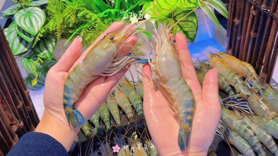 蓝海盛宴