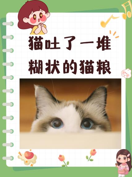 猫一天吐了六七回怎么办